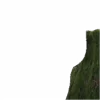 ⭐️