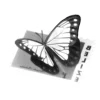 🦋