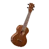 🎸