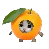 🍊