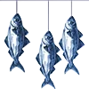 🐟