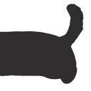 🐈‍⬛