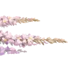 🌸
