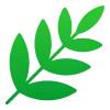 🌿