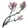🌸