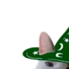 🐈
