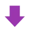 🟣