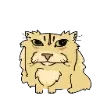 😺