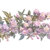 🌸
