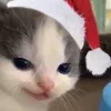 😏