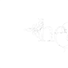 🪽