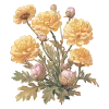 🌼