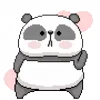 🐼