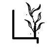 🔠