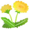 🌼