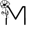 🔠