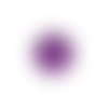 🟣