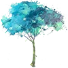 🌳