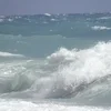 🌊