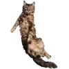 👋