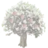 🌳