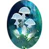 🍄