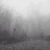 🌫