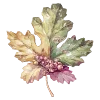 🍁