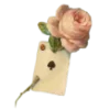 🪙