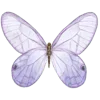 🦋