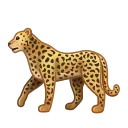 🐆