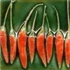 🌶