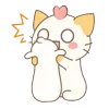 🐱