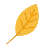 🍂