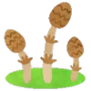 🍄