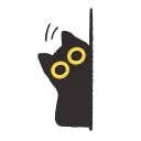 🫣