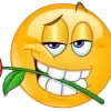 😏