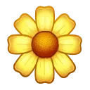 🌼