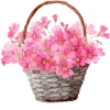 🌸