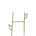 🪴