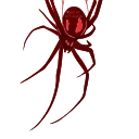 🕷