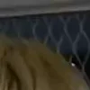 ⭐