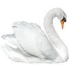 🦢