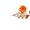 🌺