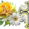 🌼