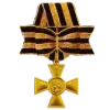 🎖️
