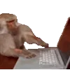 💻