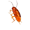 🕺
