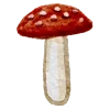 🍄