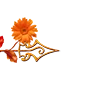 🌺